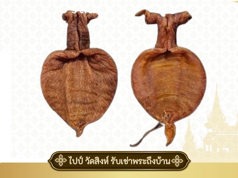 ร้านรับซื้อกระเพาะปลาเก่า กรุงเทพ ร้านรับซื้อกระเพาะปลาเก่า กรุงเทพ